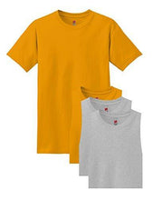 Hanes Men's ComfortSoft T-Shirt (Pack of 4)