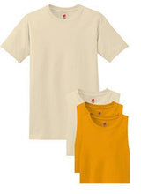 Hanes Men's ComfortSoft T-Shirt (Pack of 4)
