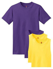 Hanes Men's ComfortSoft T-Shirt (Pack of 4)