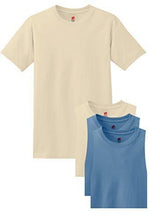 Hanes Men's ComfortSoft T-Shirt (Pack of 4)